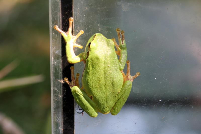 Killikus&reg; Fotographie